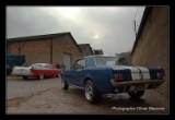 Ford Mustang 1966.DNG-1